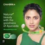 Best Digital Marketer in Malappuram _ sabinakk ad chandrika-5