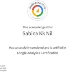 Best Digital Marketer in Kerala certification - Analytics_sabinakk