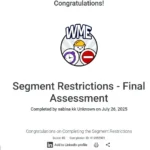 Best Digital Marketer in Kerala certification-Fundamental_sabinakk